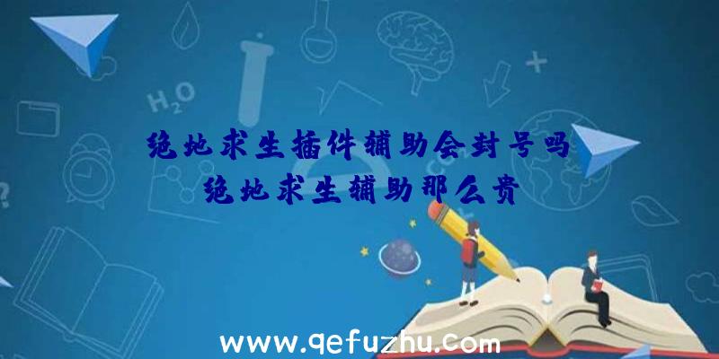 「绝地求生插件辅助会封号吗」|绝地求生辅助那么贵